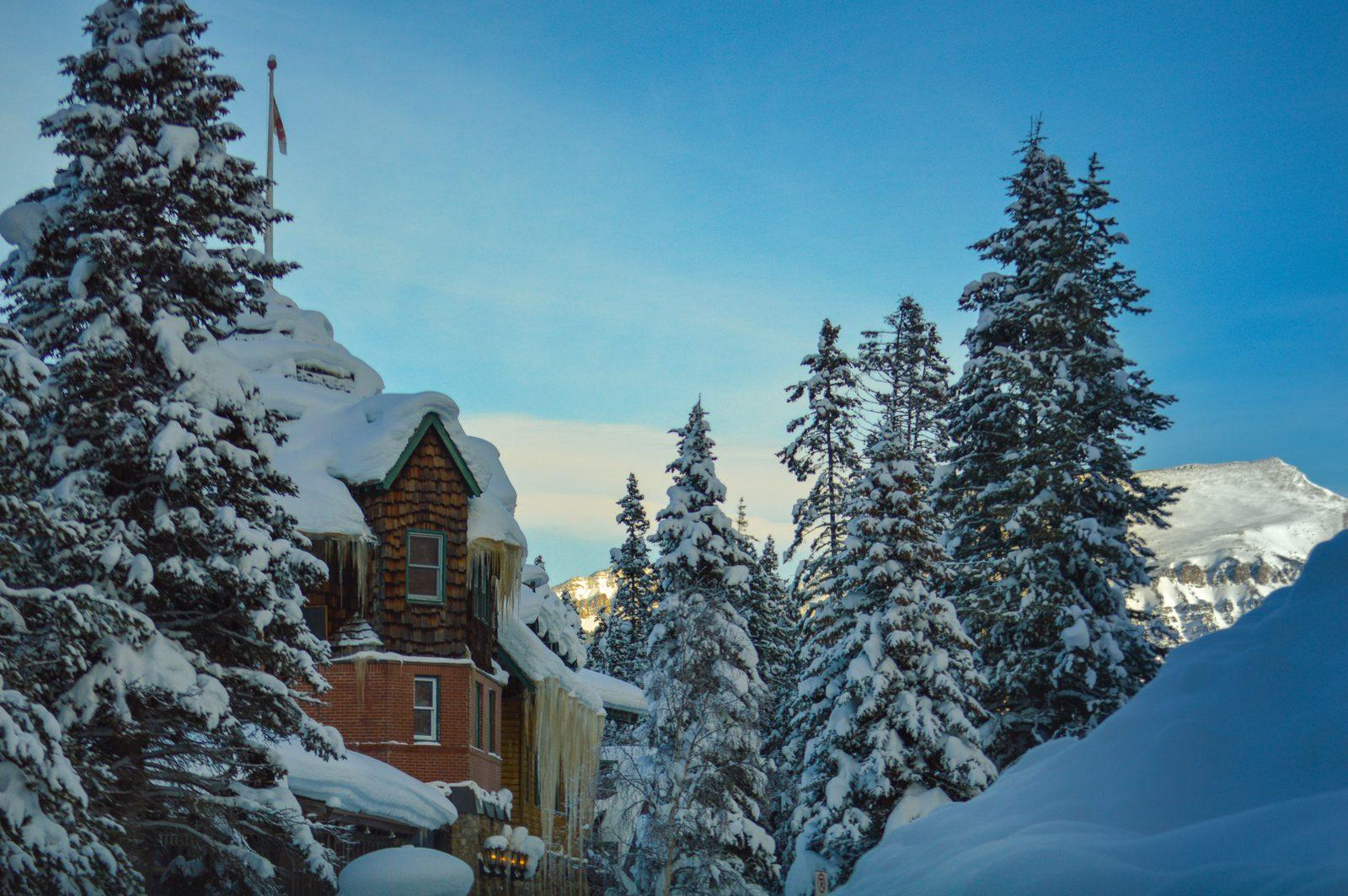 Buried in snow